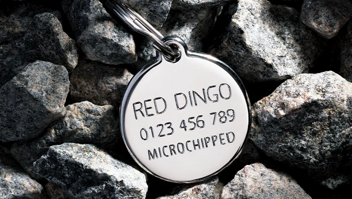Exemple de médaille Red Dingo gravée au dos avec un nom et un numéro de téléphone
